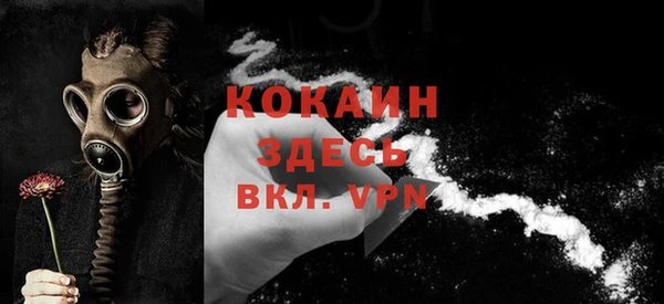 индика Корсаков