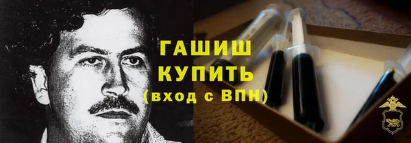 индика Корсаков