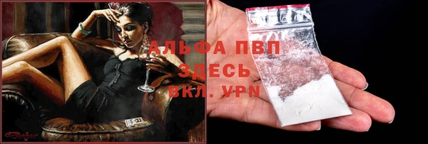 индика Кодинск