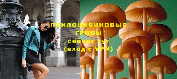 прущая мука Краснослободск
