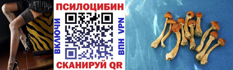 Псилоцибиновые грибы мухоморы даркнет телеграм Мензелинск